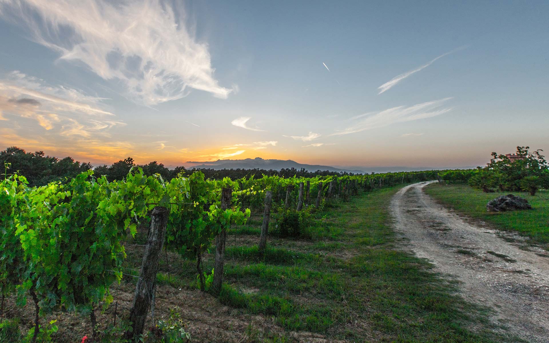 Adventure Through Tuscany