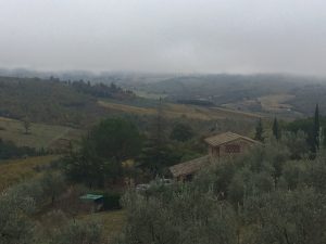 Bike tour Tuscany