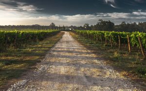 Tuscany Tours by Bicycle